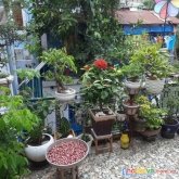 Giảm sốc sập sàn, hẻm xe hơi 66m2, tân quý tân phú, chỉ nhỉnh 5 tỷ