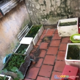 Hàng hiếm phố trương định – 54m2 - 20m ra phố - sân để ô tô – nhỉnh 2 tỷ