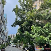 Chính chủ bán nhà 80 m giá chỉ hơn 10 tỷ mặt tiền đường số, xe hơi ngủ trong nhà,
tân quy, quận