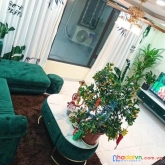 Bán nhà riêng mễ trì hạ 35m* 5 tầng. lô góc. ô tô đỗ gần. giá chỉ 3tỷ 8