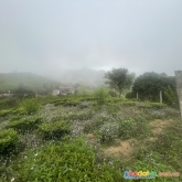 Bán đất-  mộc châu - sơn la - giá rẻ - chỉ còn một lô duy nhất