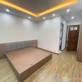 Siêu sốc hồng mai 48m giá 5,2 tỷ ô tô đỗ cổng, kinh doanh cho thuê
