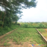 Cần tiền kinh doanh, chủ mình bán nhanh lô đất +diện tích 51.9m2 full thổ cư.