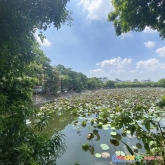Bán nhà phương liệt, thanh xuân, 54m, 4 tầng, mặt tiền 5m, giá 11.5 tỷ.