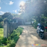 Bán đất mộc châu view đồi, núi thoáng đẹp, nhiều tiện ích xung quanh giá tốt