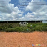 Đất nền sổ đỏ ngay trung tâm hành chính mới ven tx.buôn hồ
giá đợt 1 chỉ 900 triệu/nền(bao thuế