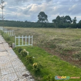 Đất thổ cư giá rẻ