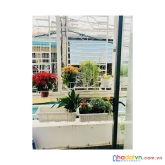Gần sân bay tân sơn nhất - nhà đẹp lung linh - nở hậu - chỉ nhỉnh 4 tỷ