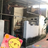 Bán nhà cấp 4 yên xã tân triều, dt 41m, ô tô đỗ cửa, sát kđt văn quán, dân cư đông đúc, gần chợ