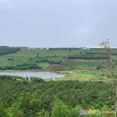 Cho thuê 4ha đất nông nghiệp xã sơn định, huyện sơn hòa, phú yên