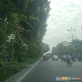 Chính chủ bán nhà 4 tầng mặt phố đường láng, đống đa, hà nội.