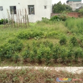 (đất nền đông anh) cần bán 64.2m2 giá 1.7 tỷ tại lâm tiên-nguyên khê-đông anh.