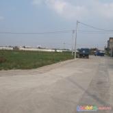 ✅ bán đất đấu giá x1 sơn du, nguyên khê - 60,75m - đường 10m - 3 tỷ mốt.
