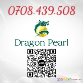 Kđt dragon pearl mở bán phân khu mới. thanh toán 35%. chiết khấu 7%