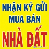 Cho thuê 2 lô dất trống  tại thảo đền - q2 - dt = 600m2 và 800m2