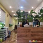 Bán nhà đẹp ở ngay phố nguyễn sơn, long biên, lô góc 2 mặt thoáng.