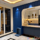Lê thúc hoạch đoạn vip nhất tân phú,5 tầng, thiết kế đẳng cấp, xe hơi vô nhà.