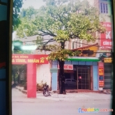 Cần cho thuê mặt bằng tại địa chỉ 37 đường nguyễn trãi p ba đình thành phố thanh hóa