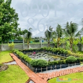 Tìm đâu ra mbkd giáp thủ đức, chỉ hơn 5 tỷ.