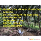 Cần bán 1 công đất vườn dừa vị trí đẹp tại bến tre