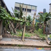 (bán gấp) cần bán 64m2 tại tổ 19 thị trấn đông anh