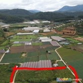 Bán đất nông nghiệp đường mimosa phường 10 đà lạt 2847m2