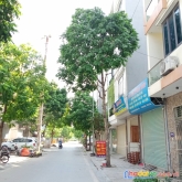 Bán đất đấu giá ngõ cổng đa sỹ, 50m2, mt4m, trục kinh doanh giá chỉ 5.9 tỷ
