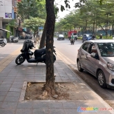 Bán nhà phố nguyễn khánh toàn 44m2x6t, gần phố  kd xách vali về ở, nhỉnh 6tỷ