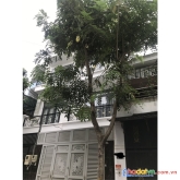 Bán nhà mới, đẹp, diện tích 4 x 18m, 5 tầng , hẻm nhựa 8m đường thoại ngọc hầu, phường phú thạnh,