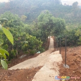 Đầu năm mới chủ gửi bán gấp 3 lô đất view đẹp tại tà nung, đà lạt