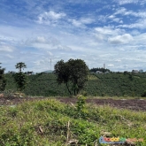 Chính chủ cần bán lô đất đẹp – giá đầu tư tại thôn 9 - lộc ngãi - bảo lâm - lâm đồng