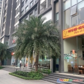 Shophouse khối đế vinhomes gardenia hàm nghi, 113m2, 20.5 tỷ