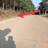 Sở hữu ngay lô đất siêu đẹp – giá đầu tư tại thạch tượng - thạch thành - thanh hoá