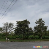 Cho thuê nhà xưởng ở khu công nghiệp định quán, la ngà, đồng nai