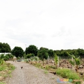 Cần bán 13.623 m² đất vườn cln+ont. đất vườn view suối || xuân lộc - đồng nai.