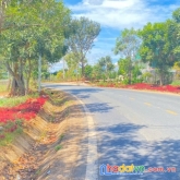 Gần 5 sào đất 2 mặt tiền ql27, liên hiệp đức trọng, gần mũi tàu...