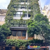 Mặt phố triệu việt vương 135m2 mặt tiền 6.5m 7 tầng 100 tỷ. vỉa hè 2m đang cho thuê 200tr/th
