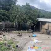 2000 m2 trang trại đất trồng cây lâu năm