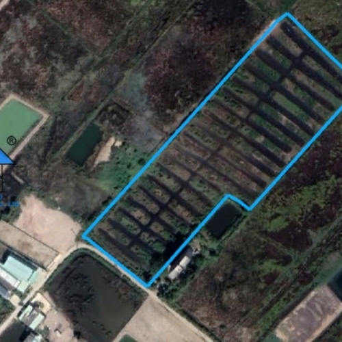 Bán đất lý nhơn cần giờ tp hcm b1311