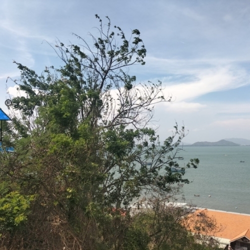 Bán đất view biển tuyệt đẹp sao mai vũng tàu b1519