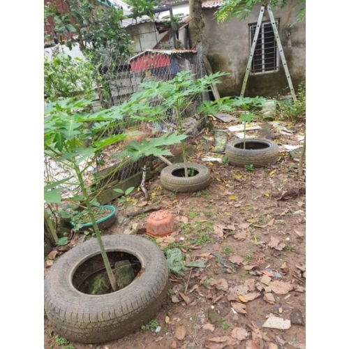 Bán đất phú diễn. bắc từ liêm. lô góc. ô tô. dt 62m2. mt 6m. giá 9,88 tỷ.