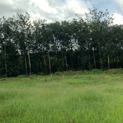 📍 đất nền pháp lý rõ ràng, 5x55m, long hà – giá chỉ 290 triệu 