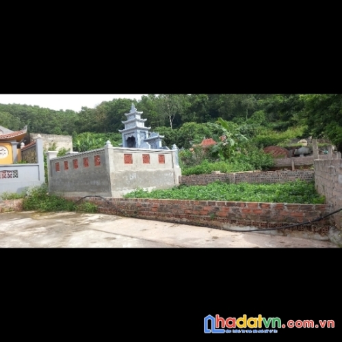 Chuyển nhượng đất nghĩa trang tại phường thủy nguyên, hải phòng 