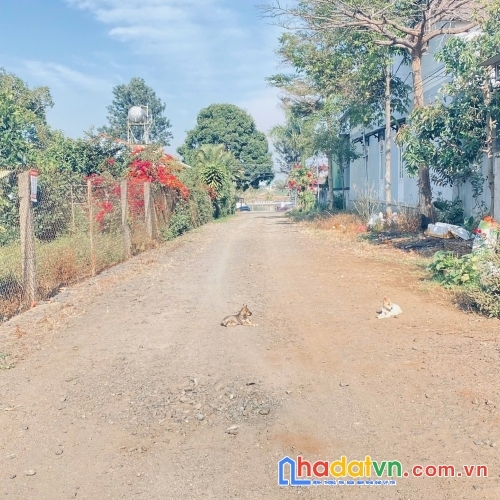 2 lô đất nhánh lý thái tổ, đối diện hồ nam sơn, trung tâm đức trọng, lâm đồng