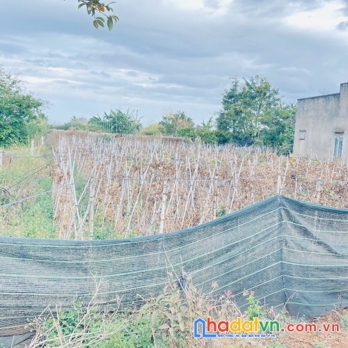 Đất khu dân cư, hẻm dt724 tân hội, đức trọng cũ, lâm đồng