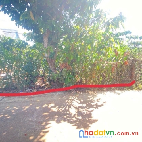 Đất hẻm dh1, n'thôn hạ cũ, tân hội đức trọng, lâm đồng