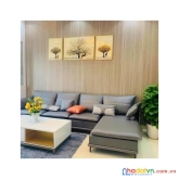 Bán nhà phố nguyễn thị định, cầu giấy 44m, 5 tầng, mt 4m. giá: 12.3 tỷ