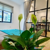 Tòa chdv yên hòa 75m2  7t thang máy  19pkk   dt 80tr  full đồ