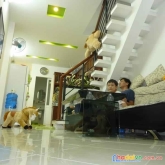 Bán nhà đường nguyễn đình chính, p.15, q.phú nhuận, giá 5.4 tỷ, 46m2, 1t2l, 3wc, có sân để xe máy