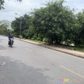 Bán nhà mặt phố nguyễn ngọc vũ, cầu giấy, 70m2, 12m mt, kinh doanh đa dạng, sdcc. giá chỉ 24 tỷ có
